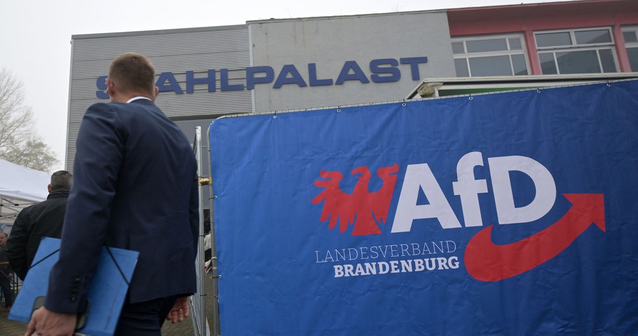 Stanowcza reakcja Rossmanna. W tle rozmowy z AfD