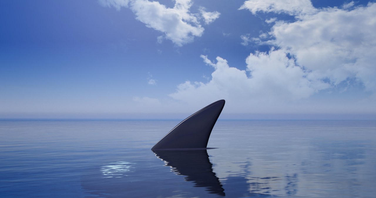 Kąpali się w morzu, dopadł ich rekin. Tragiczny finał