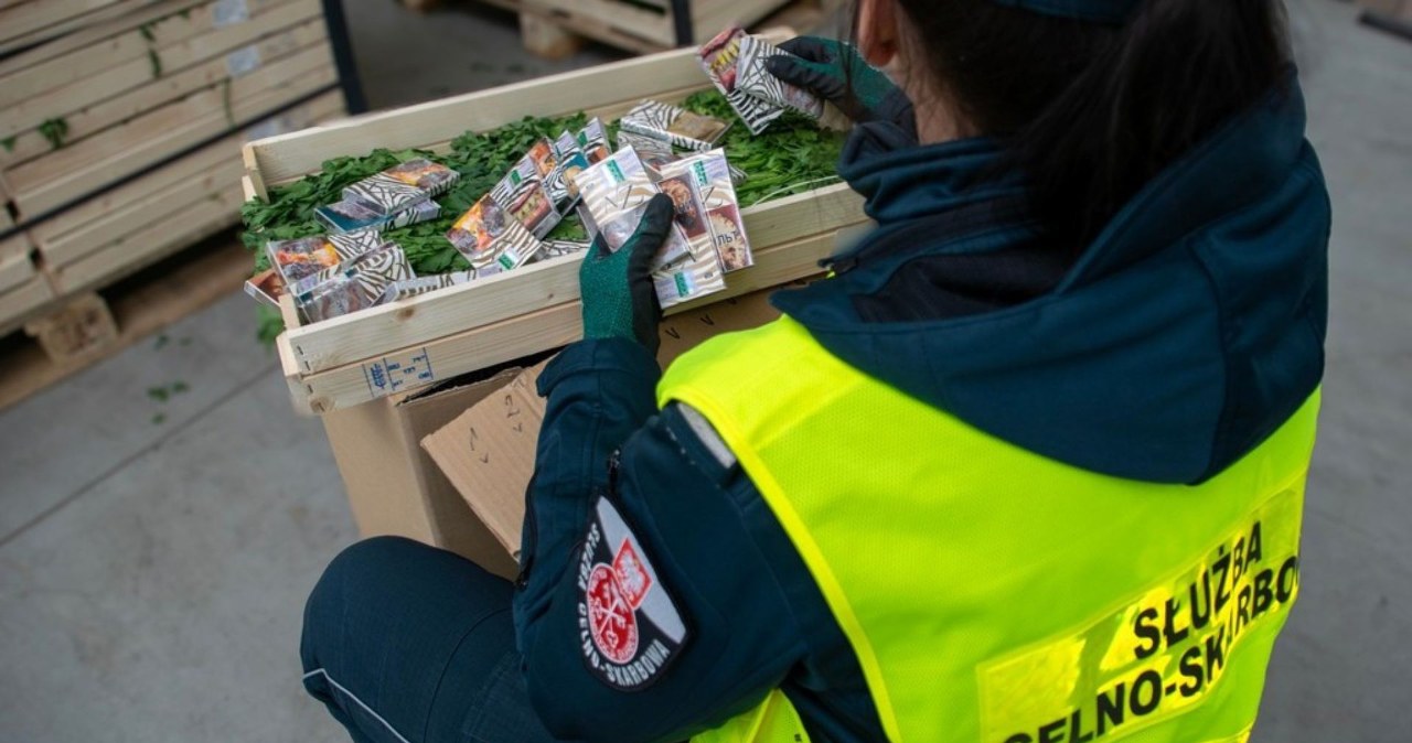 wiadomości,aktualności,Interia Niedowierzali własnym w oczom. Sięgnęli po pietruszkę, znaleźli kontrabandę