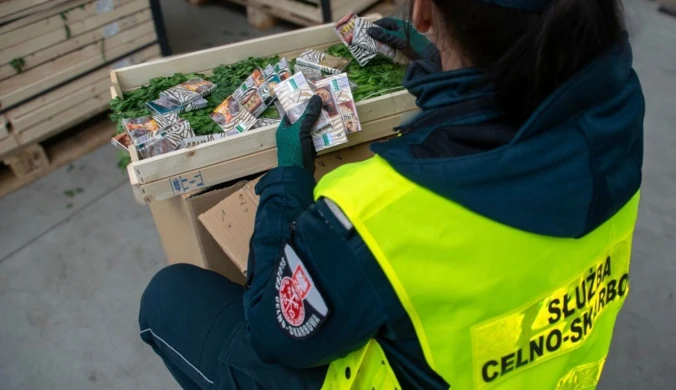 Celnicy nie mogli uwierzyć. Przemyt w natce pietruszki