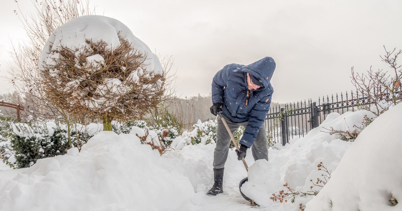 Śnieg w ogrodzie. Kiedy pomaga roślinom, a kiedy im szkodzi? Śnieg w ogrodzie. Kiedy pomaga roślinom, a kiedy im szkodzi?