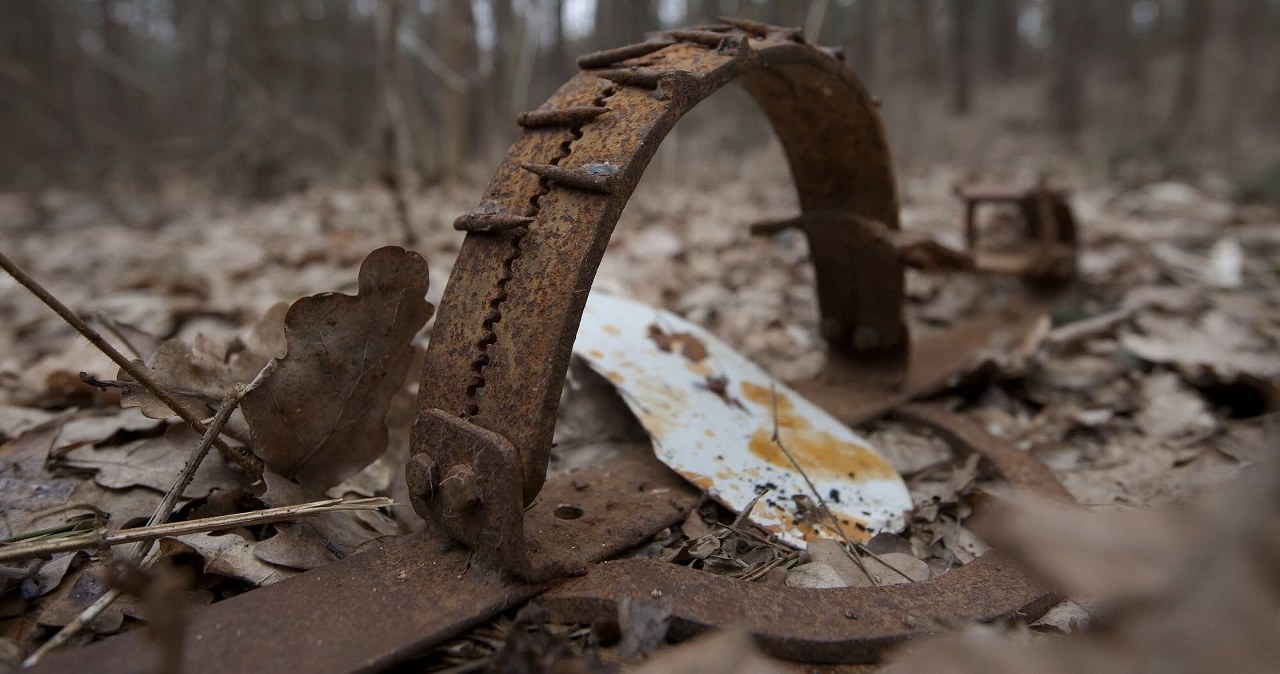 Wnyki i sidła w polskich lasach. Leśnicy pokazali pułapki kłusowników Wnyki i sidła w polskich lasach. Leśnicy pokazali pułapki kłusowników