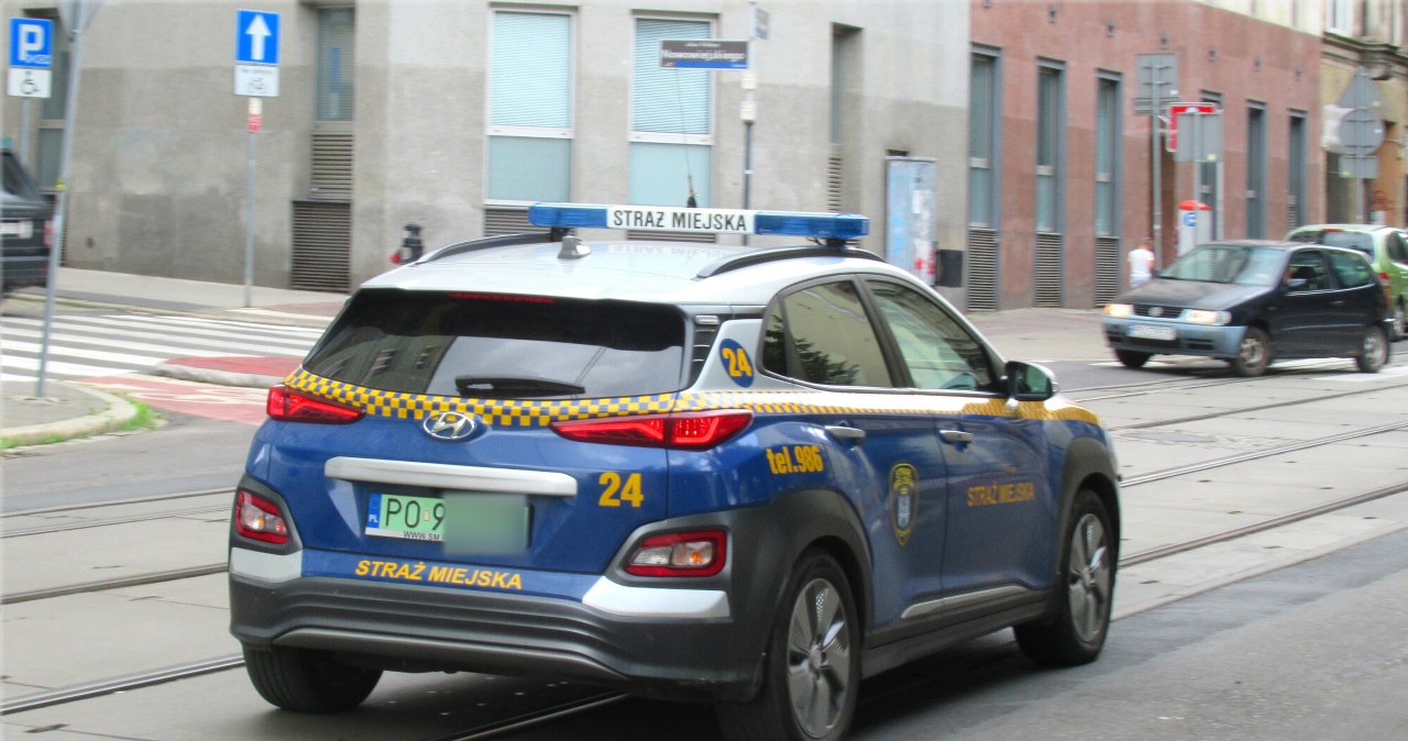 Chciał sprzedawać niemieckie proszki. Dostał kilkanaście mandatów