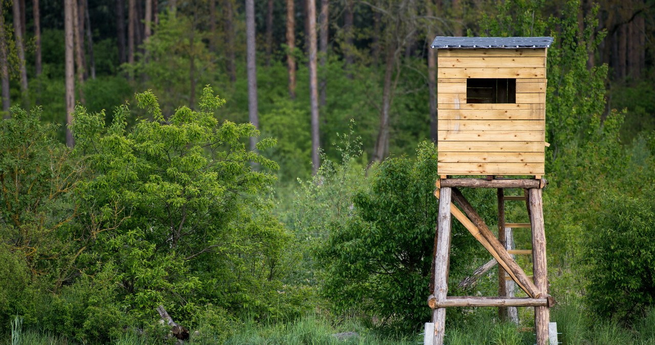 Zwrot w sprawie okresowych badań myśliwych. Jest ważny głos poparcia