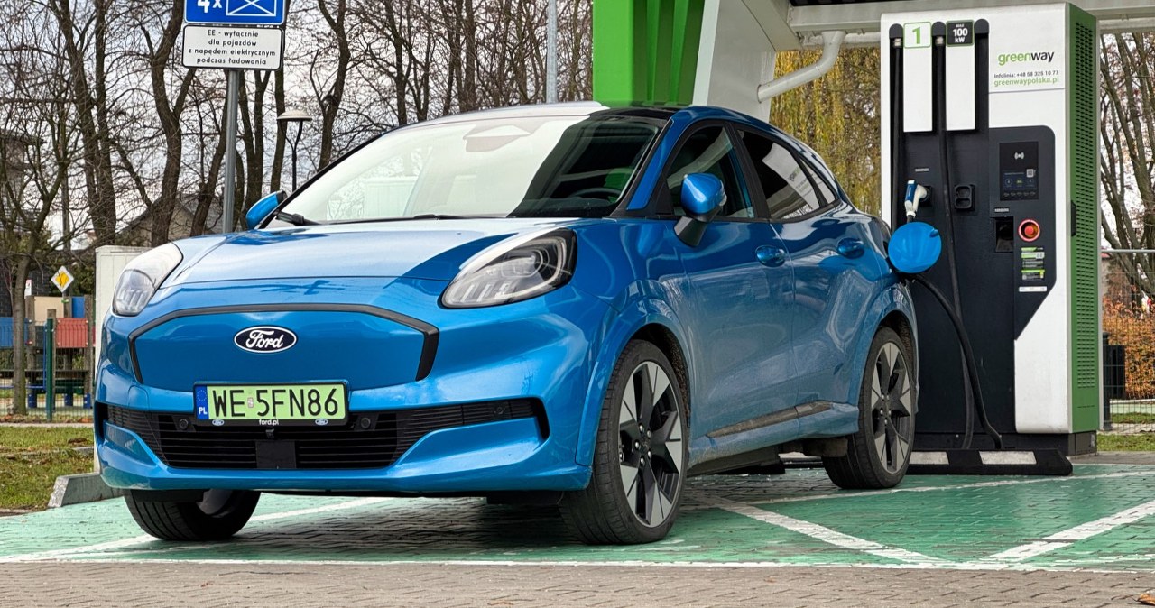 Ważą się losy aut spalinowych. Elektryki to był błąd?