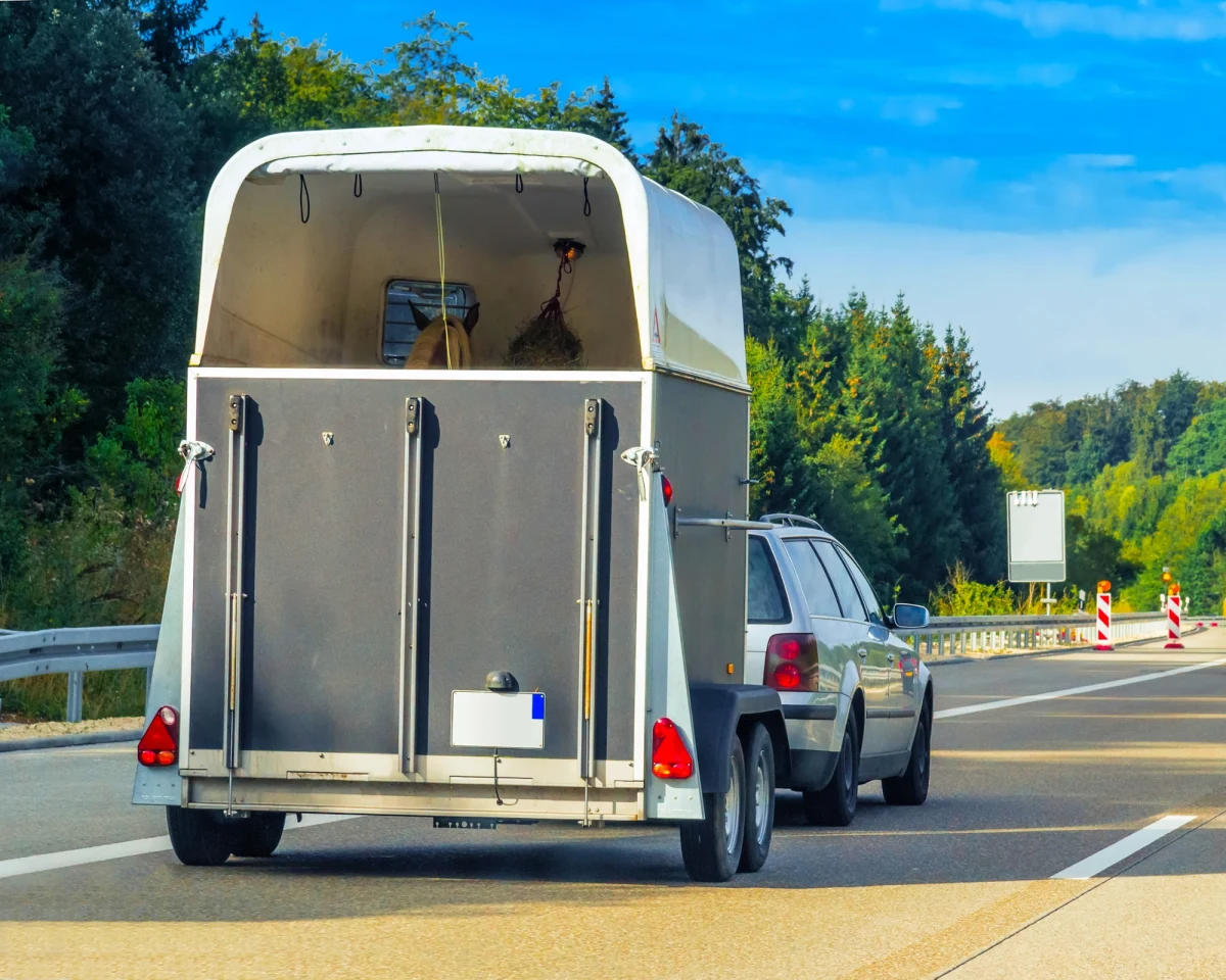 Na trasie S8 w rejonie węzła Janki doszło do niebezpiecznego zdarzenia -  przewróciła się przyczepa przewożąca dwa konie. "Zwierzętom nic się nie stało" - powiedział mł. kpt. Michał Składanowski z pruszkowskiej straży pożarnej. Kierowcy muszą się jednak liczyć się z utrudnieniami w ruchu.