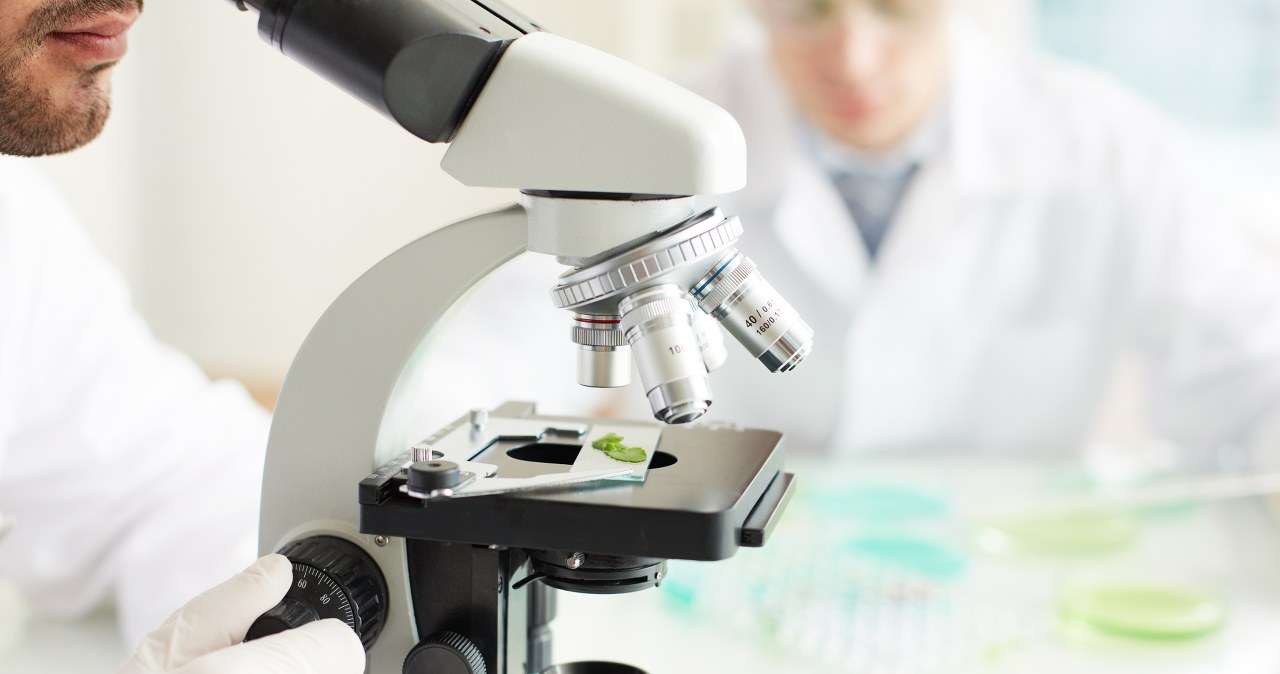 Sztuczna inteligencja pomogła ujawnić ślady życia sprzed miliardów lat