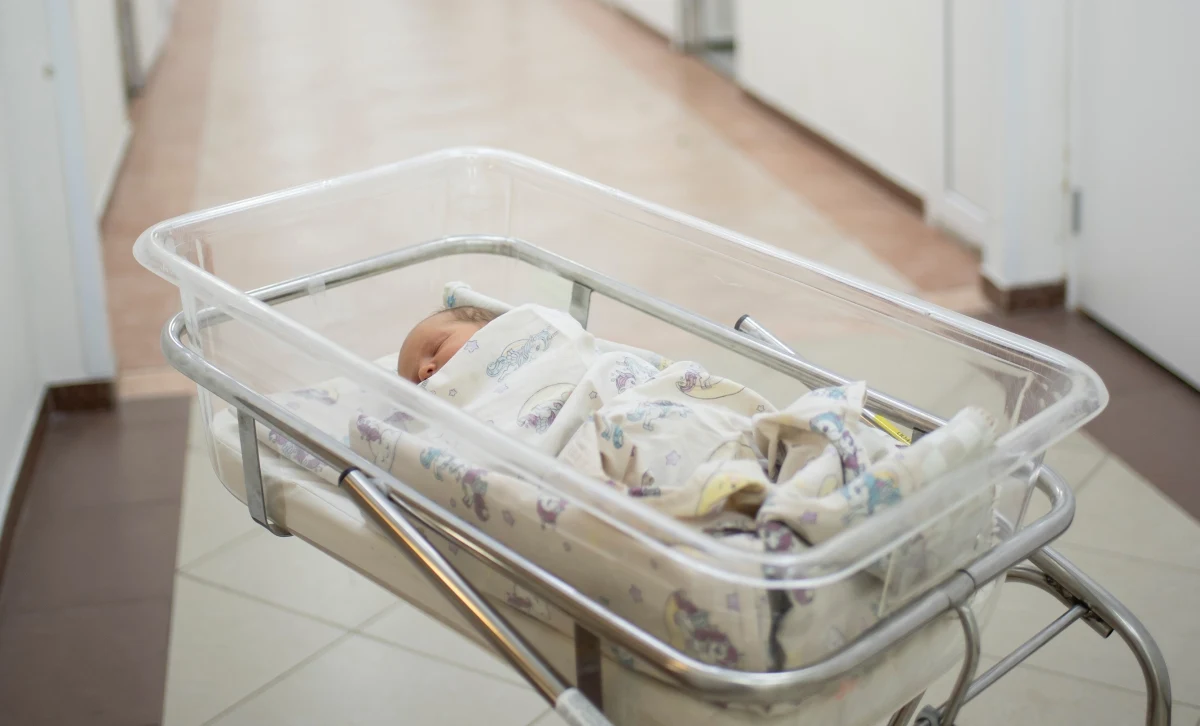 Pomimo wprowadzenia programu 500 plus, który miał zachęcić Polaków do posiadania większej liczby dzieci, statystyka urodzeń spada. W ubiegłym roku w Polsce przyszło na świat najmniej dzieci od 200 lat. Prof. Julian Auleytner, uznawany za twórcę programu, podkreślił w rozmowie z "Faktem", że problemu demografii nie da się rozwiązać wyłącznie pieniędzmi.