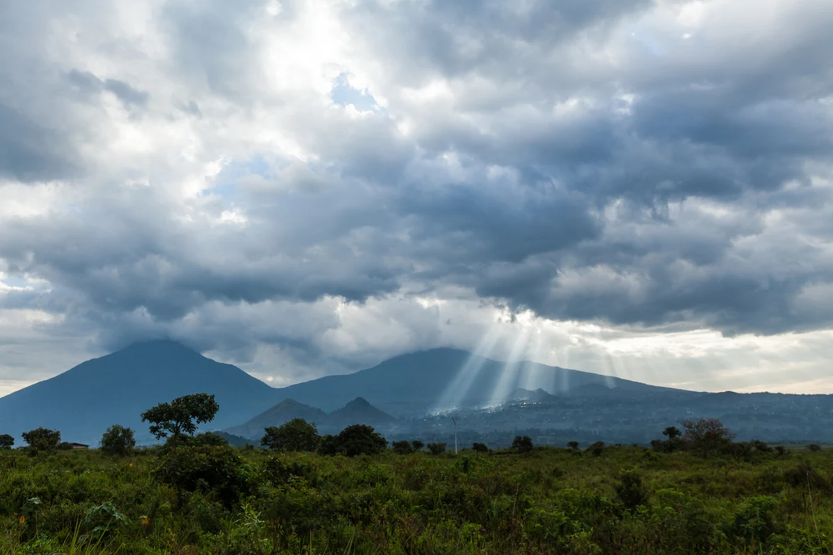 Masowa wycinka i działalność górnicza sprawiły, że lasy deszczowe Kongo - dotąd jeden z największych pochłaniaczy dwutlenku węgla na świecie - stały się jego źródłem. Najnowsze badania opublikowane w "Scientific Reports" wskazują, że ta zmiana może znacząco utrudnić globalną walkę z emisją CO2.
