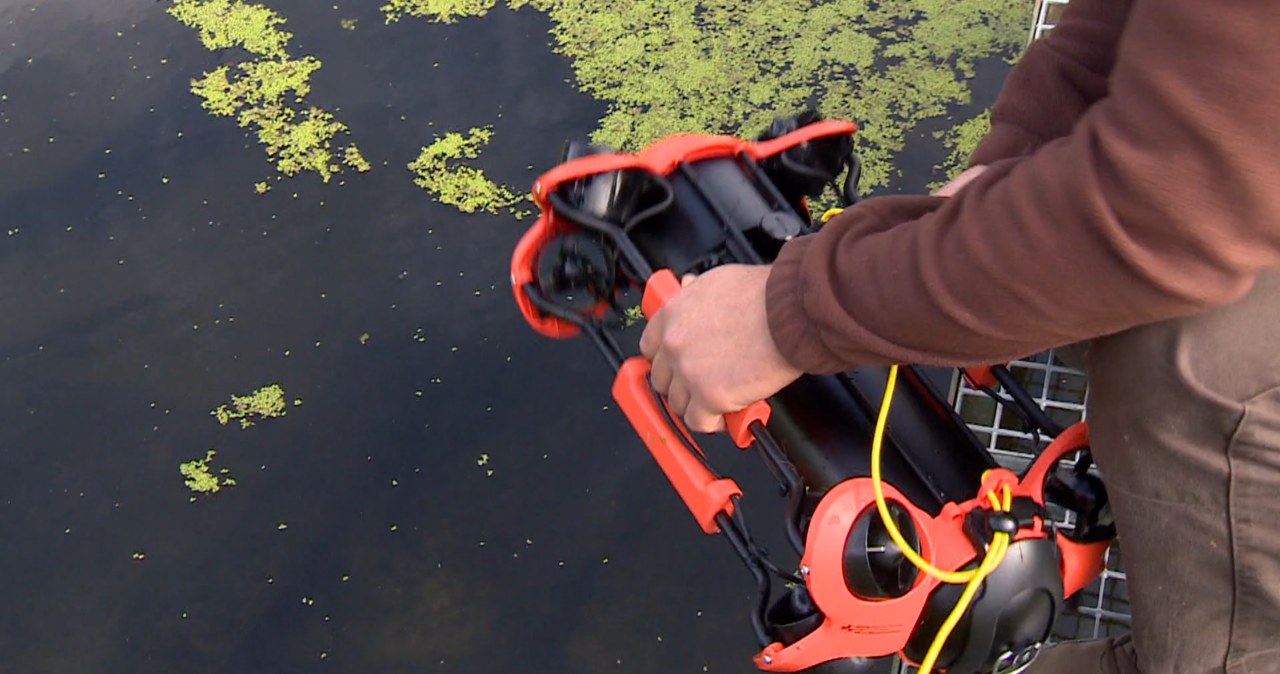 Ryby z kilku gatunków wymierają w Polsce. Pomagają drony Ryby z kilku gatunków wymierają w Polsce. Pomagają drony