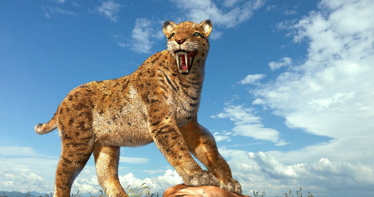 Epoka lodowcowa, jakiej nie znamy. Było bardzo gorąco, żar lał się z nieba