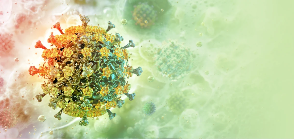 Naukowcy z Francji alarmują, że wirus ptasiej grypy, jeśli przystosuje się do przenoszenia między ludźmi, może wywołać pandemię o skutkach poważniejszych niż Covid-19. Obecnie ryzyko takiego scenariusza jest niskie, ale eksperci apelują o czujność i przygotowanie.