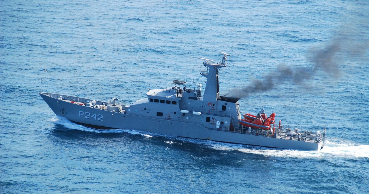 Marynarka wojenna i okręty pomagają chronić rzadki gatunek ssaka