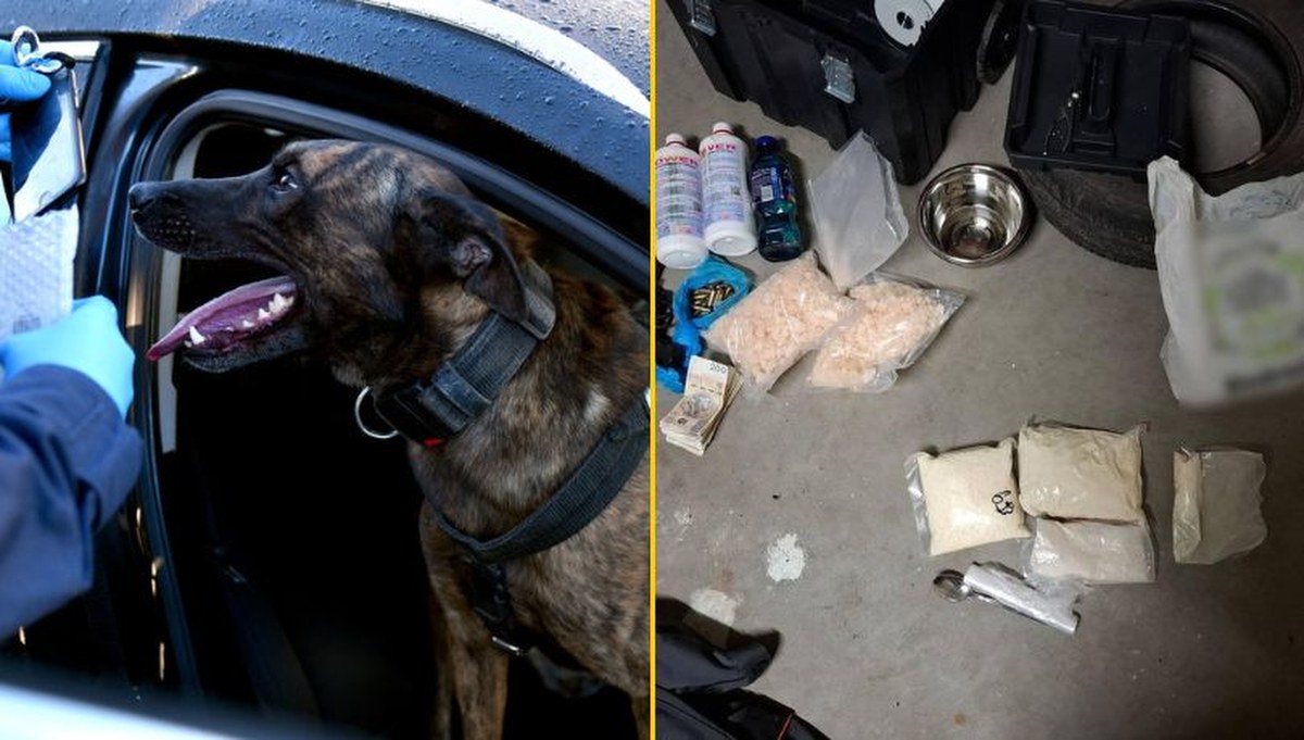 Narkotykowy gang z Podlasia rozbity. Spektakularna akcja policji