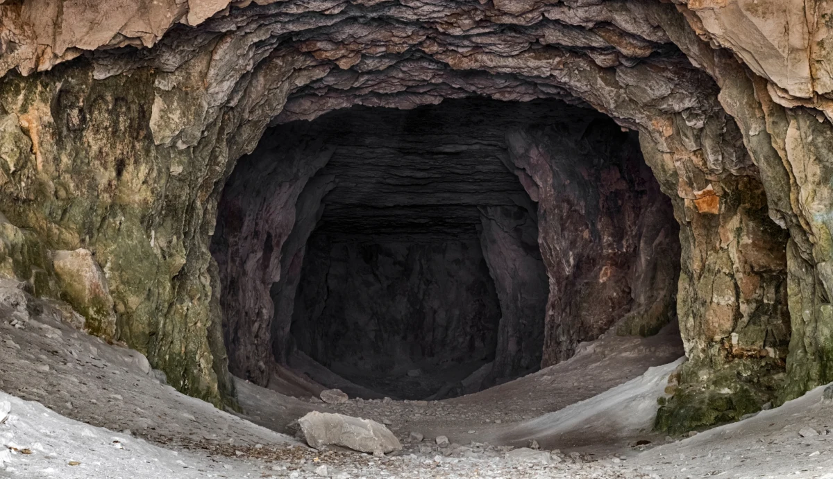 W jaskiniach Siedmiogrodu, na terenie dzisiejszej Rumunii, Homo sapiens i neandertalczycy mogli nie tylko żyć obok siebie, ale także się ze sobą krzyżować - wynika z najnowszych badań brazylijskich naukowców. Analizy prowadzone w grotach regionu Covasna wskazują, że oba gatunki zamieszkiwały te same wąwozy około 40 tysięcy lat temu, a ślady genetyczne i morfologiczne ich obecności odnaleziono w ludzkich szczątkach odkrytych w lokalnych jaskiniach.