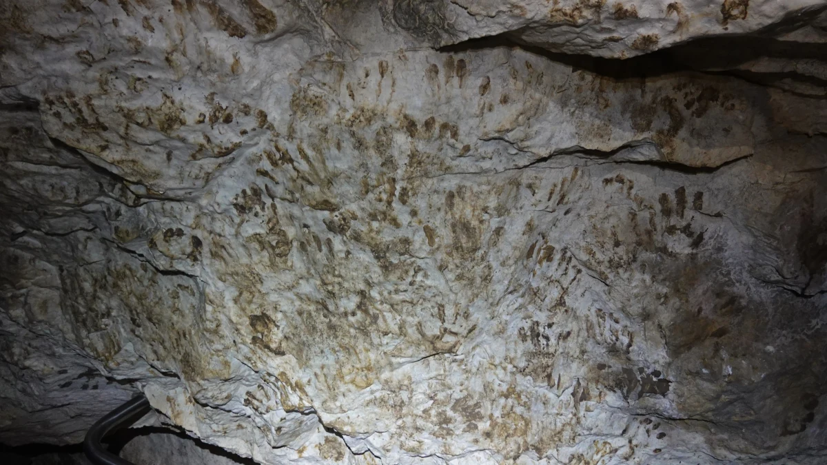 Ktoś zostawił ślady błota na ścianach Jaskini Mroźnej. Tatrzański Park Narodowy poinformował o tym we wpisie na Facebooku. "Z początkiem listopada zamknęliśmy Jaskinię Mroźną z powodu zimujących w niej nietoperzy. A w środku odkryliśmy… nie, nie pradawne malowidła jaskiniowe" - czytamy we wpisie.