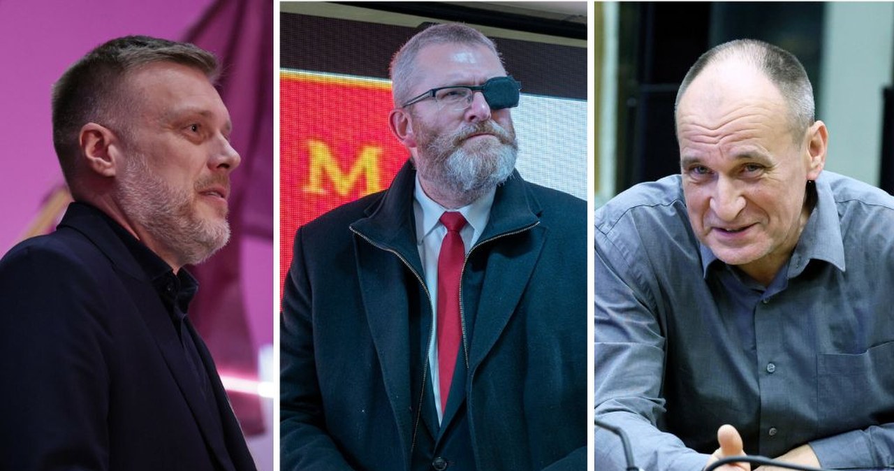 "Pogranicze agentury rosyjskiej". Czarzasty zdecydował ws. partii Brauna