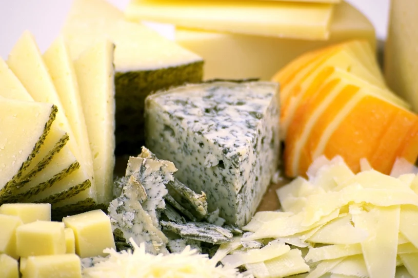 Jedli tłuste sery i śmietanę. Naukowcy zbadali ich po 25 latach