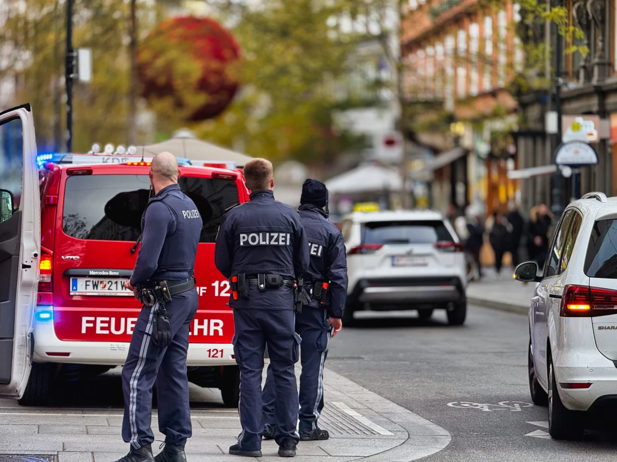 Wstrząsające morderstwo 21-letniego Ukraińca w samym sercu Wiednia. Danyło K., syn wiceburmistrza Charkowa został zamordowany w wyjątkowo brutalny sposób – pobity, torturowany, a następnie spalony żywcem w luksusowym mercedesie. Policja odkrywa kolejne, coraz mroczniejsze szczegóły tej zbrodni.