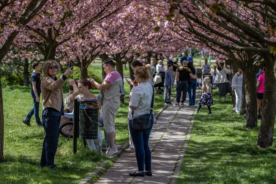 /Anna Kaczmarz /East News