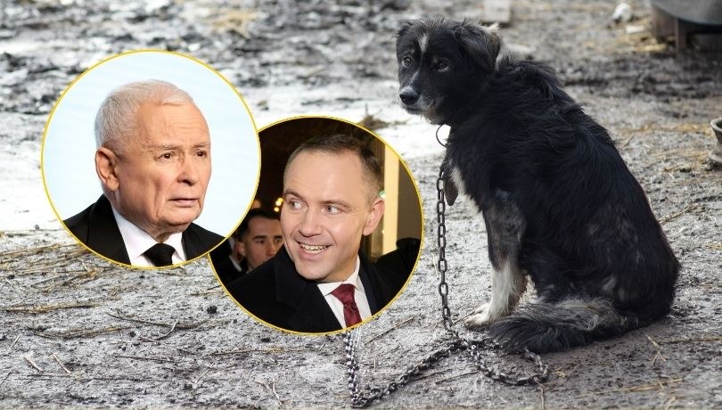 /Shutterstock/Anita Walczewska/East News/Wojciech Olkusnik/East News /East News