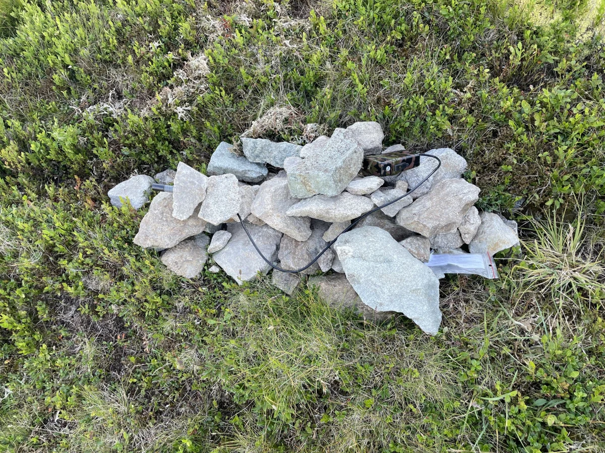 Z dwóch tatrzańskich szlaków zniknęły urządzenia badawcze monitorujące ruch turystyczny. Tatrzański Park Narodowy apeluje do wszystkich, którzy mogli przypadkowo zabrać lub znaleźć czujniki, o ich zwrot. Naukowcy podkreślają, że utracone dane są nie do odzyskania i mogą zagrozić realizacji ważnego projektu badawczego.