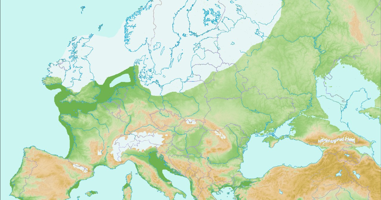 DNA z osadów jaskiń ujawnia dane o Europie w epoce lodowcowej