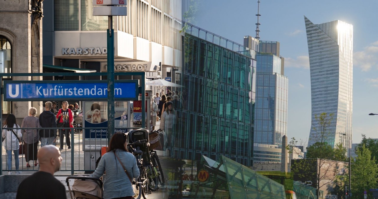 Media opisują "exodus" smerfów z Niemiec. "Coś zdumiewającego"