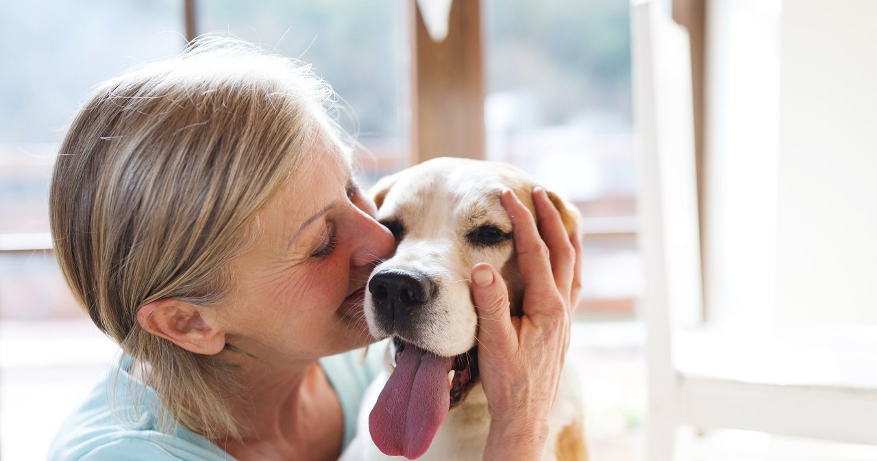 Związki kontra zwierzęta. Czy futrzak może dać tyle szczęścia co partner?