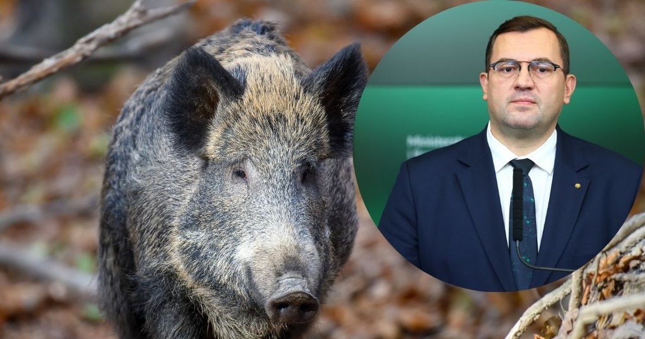 Niebezpieczne znalezisko pod Piotrkowem. "Nie wykluczamy sabotażu"