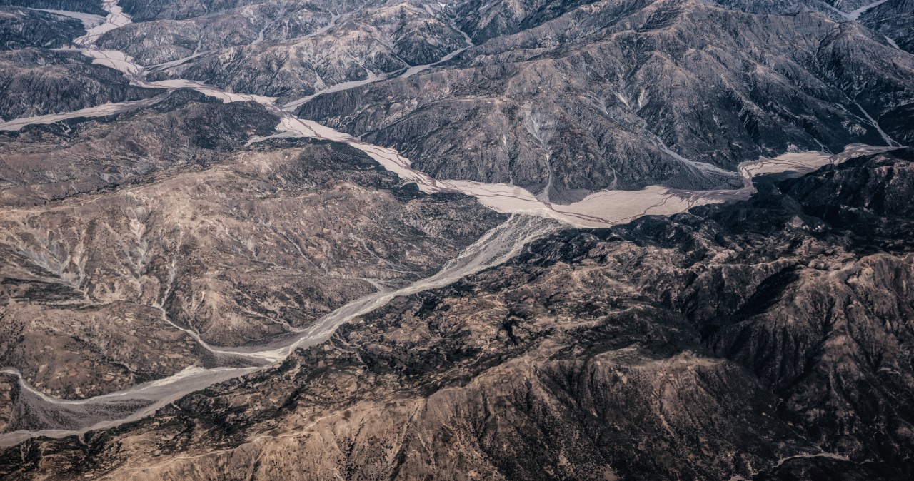 Przecierali oczy ze zdumienia. Największa parada dawnych zwierząt Przecierali oczy ze zdumienia. Największa parada dawnych zwierząt