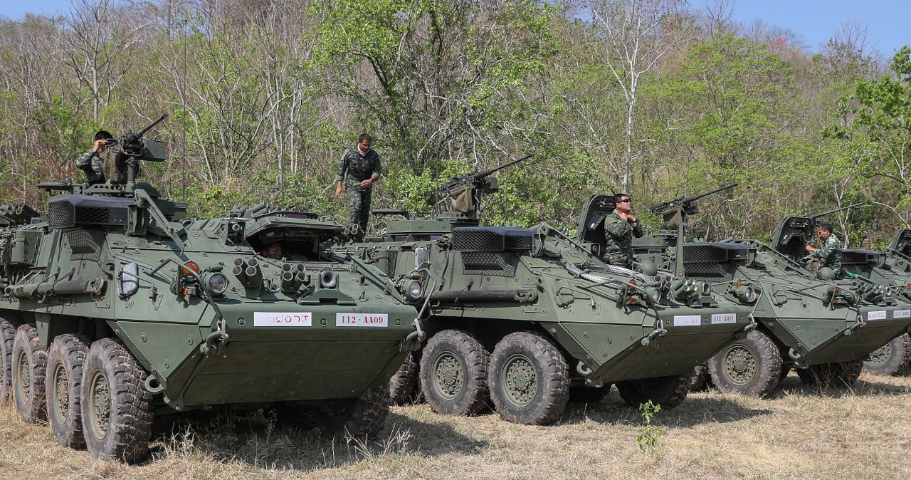 "Darmowe" Strykery dla polskiej armii. Wielka szansa czy duży błąd?