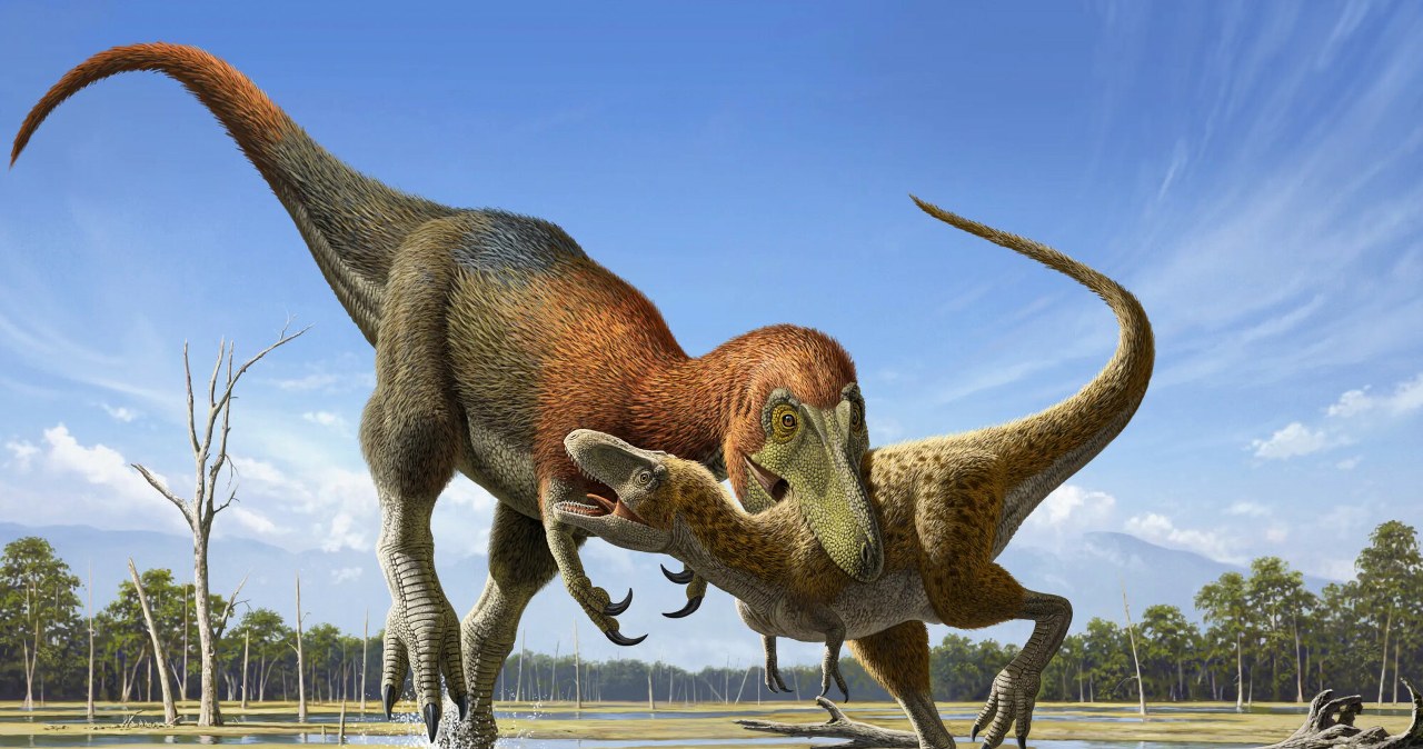 Rozwiązali zagadkę wielkiego tyranozaura. Pomogła kość gnykowa