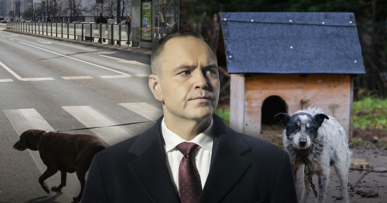 wiadomości,aktualności,Interia W sporze o ustawę łańcuchową chodzi o coś więcej. To starcie miasta ze wsią [OPINIA]