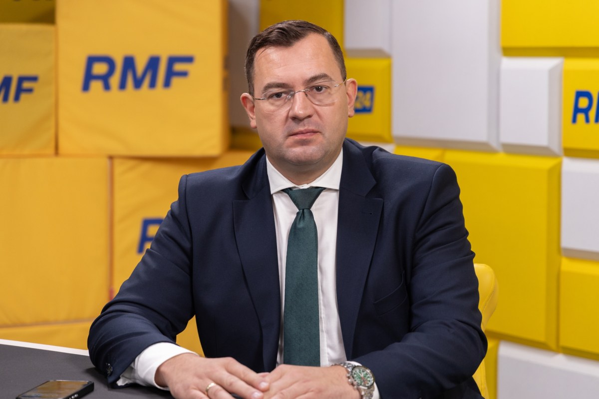 Podrzucony dzik z ASF pod Piotrkowem Trybunalskim. Co wiadomo o sprawie?