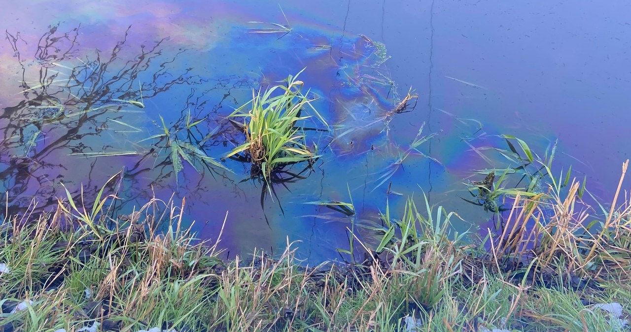 „Wyczuwalny zapach”. Zanieczyszczenie wody przy autostradzie A2