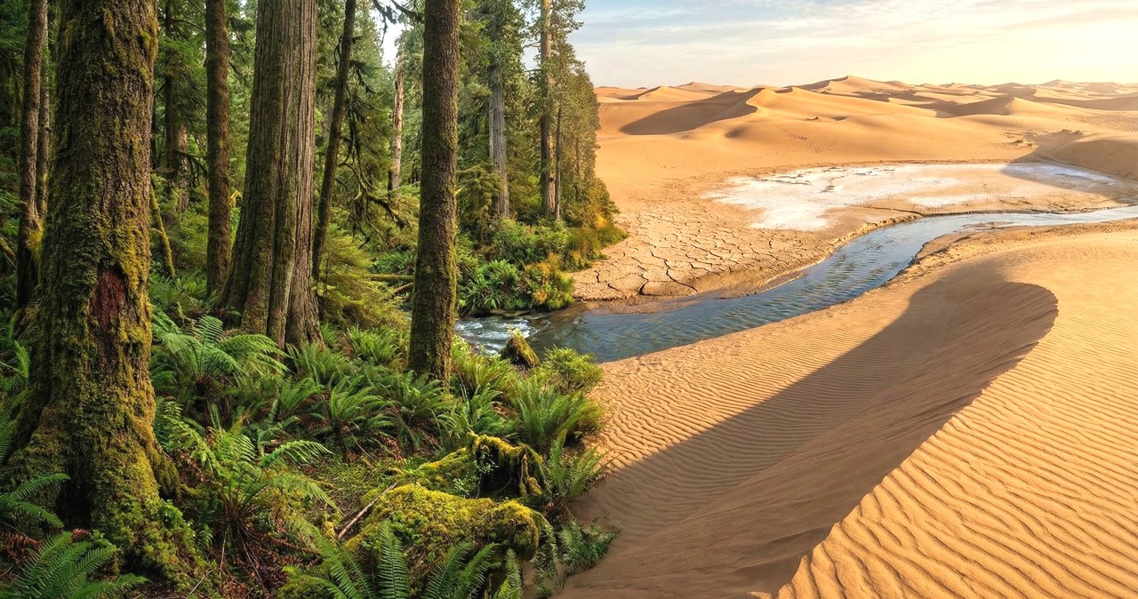 Zmienili gigantyczną pustynię w zielony raj. Projekt stulecia zadziwia