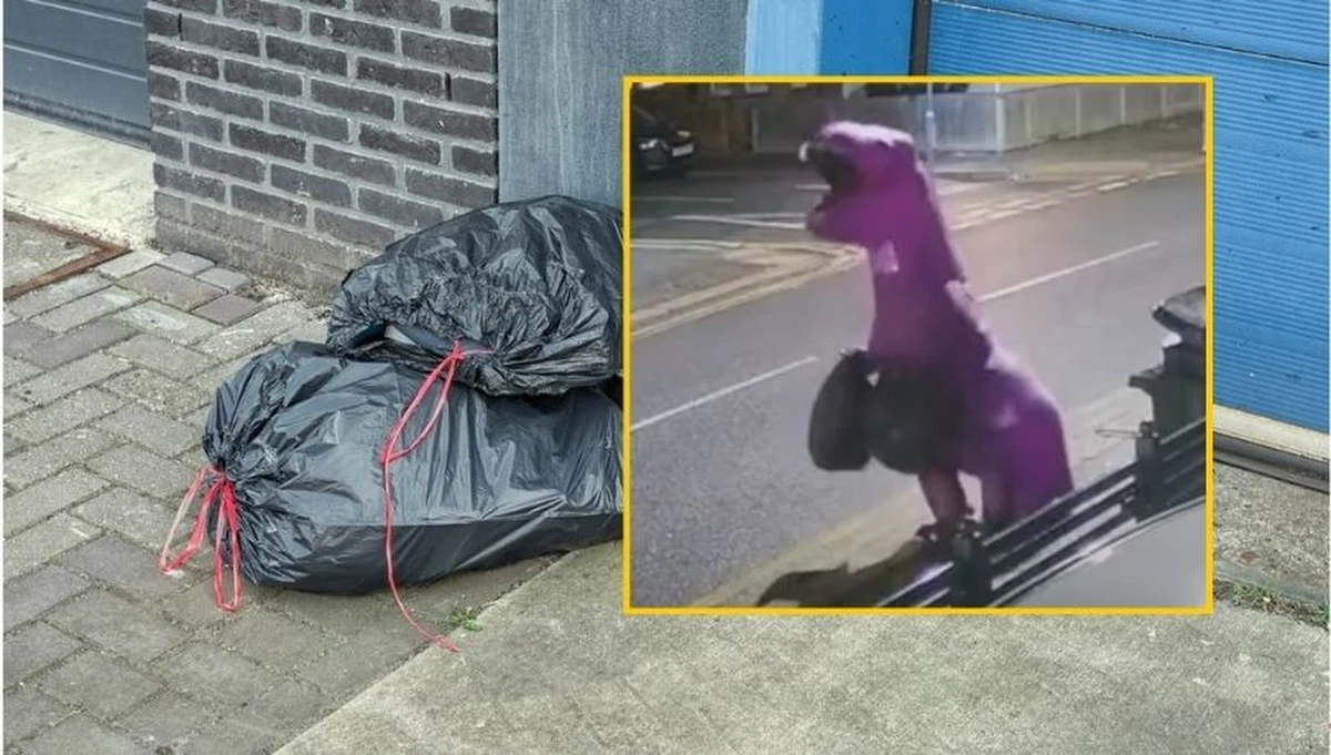 W Southend-on-Sea, mieście w południowo-wschodniej Anglii, kamera uliczna sfilmowała, jak osoba przebrana w fioletowy strój tyranozaura wyrzuca worki ze śmieciami. Lokalne media i społeczność domagają się ujawnienia tożsamości "aspołecznego" dinozaura. 