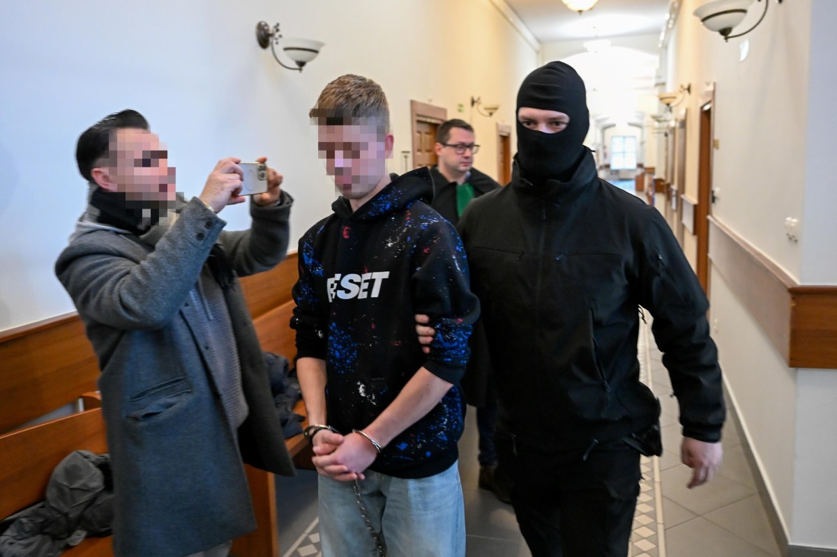 Poćwiartował zwłoki i zakopał w parku. Dziadek Alana G. zabiera głos