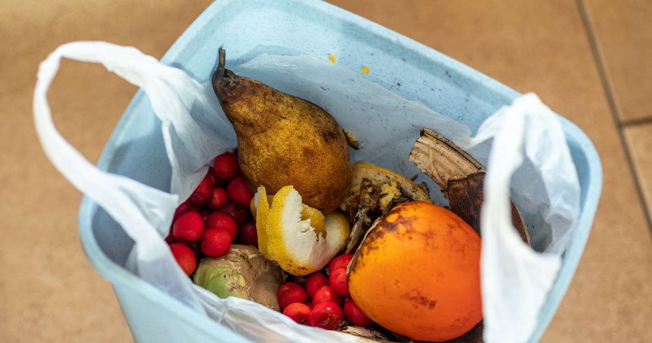 Wyrzucasz wszystkie resztki z obiadu do zmieszanych? To błąd!