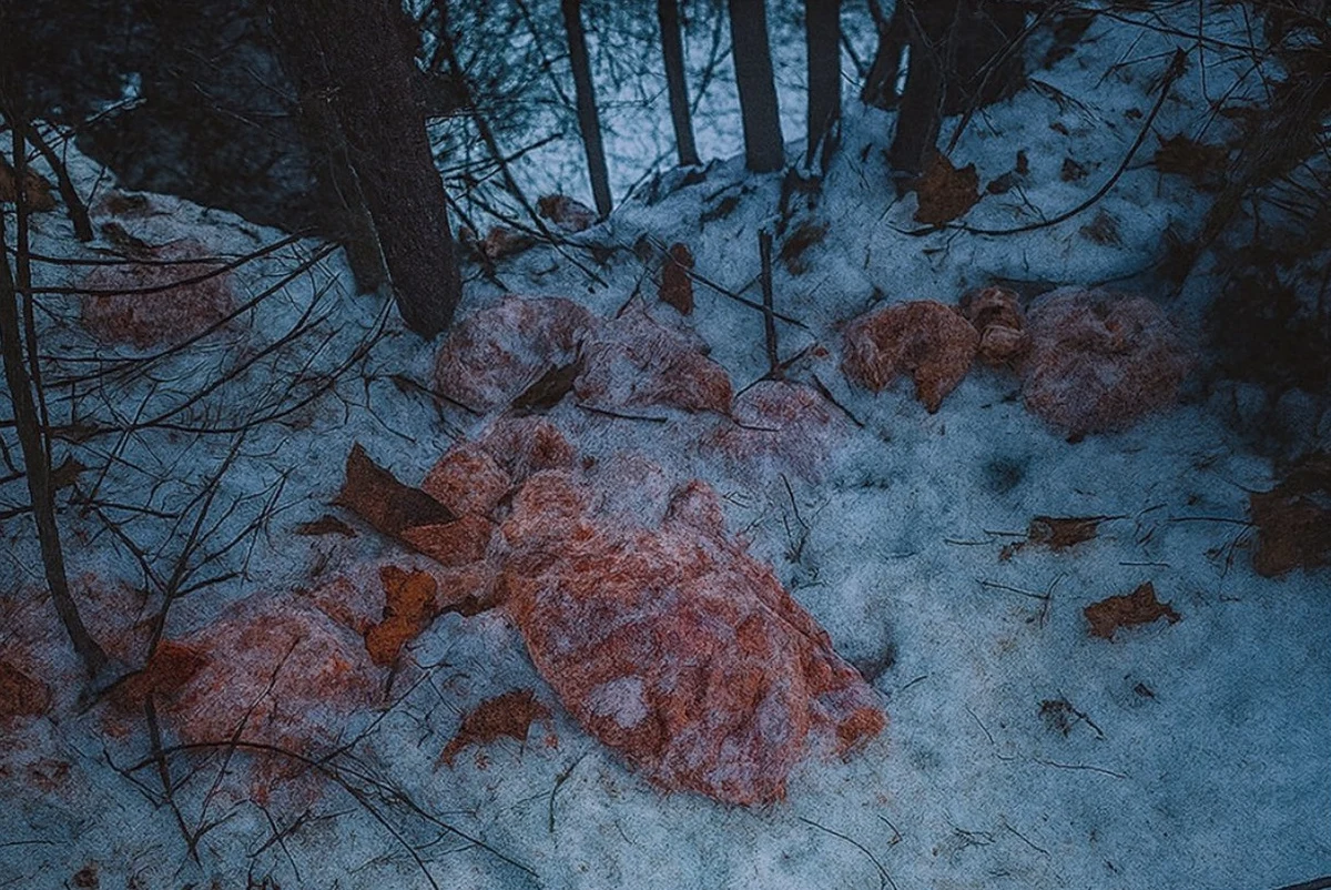 To nie jest drobny incydent, ale poważne zagrożenie - alarmuje Nadleśnictwo Krościenko (Małopolskie). 130 kilogramów różnego rodzaju mięsa wyrzucono w lesie, zrzucając je ze skarpy do potoku.