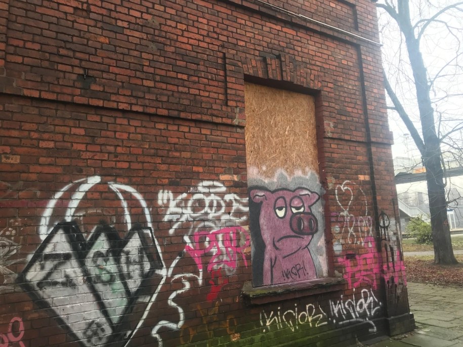 /Marcin Buczek /RMF FM