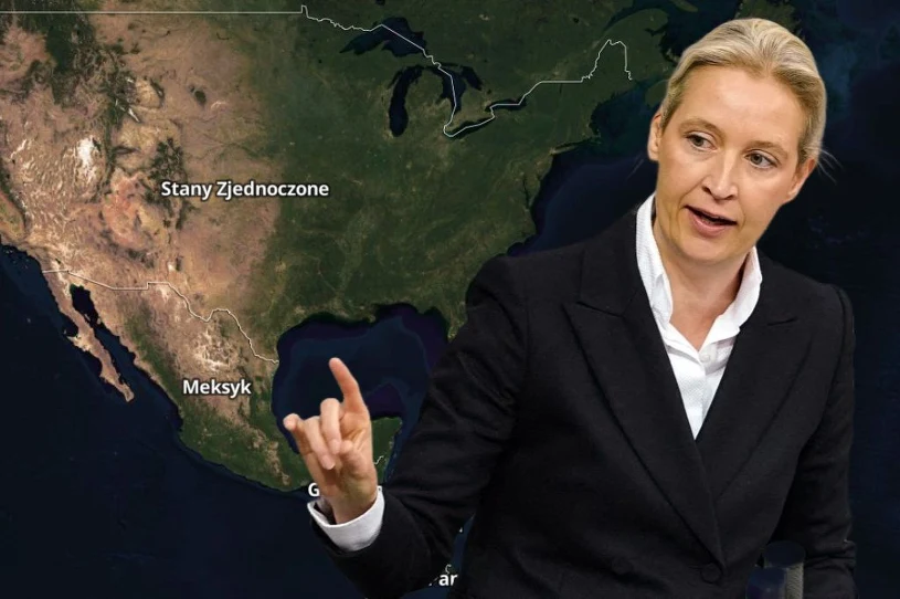 Tajny plan niemieckiej AfD względem Trumpa. Media opisują kulisy