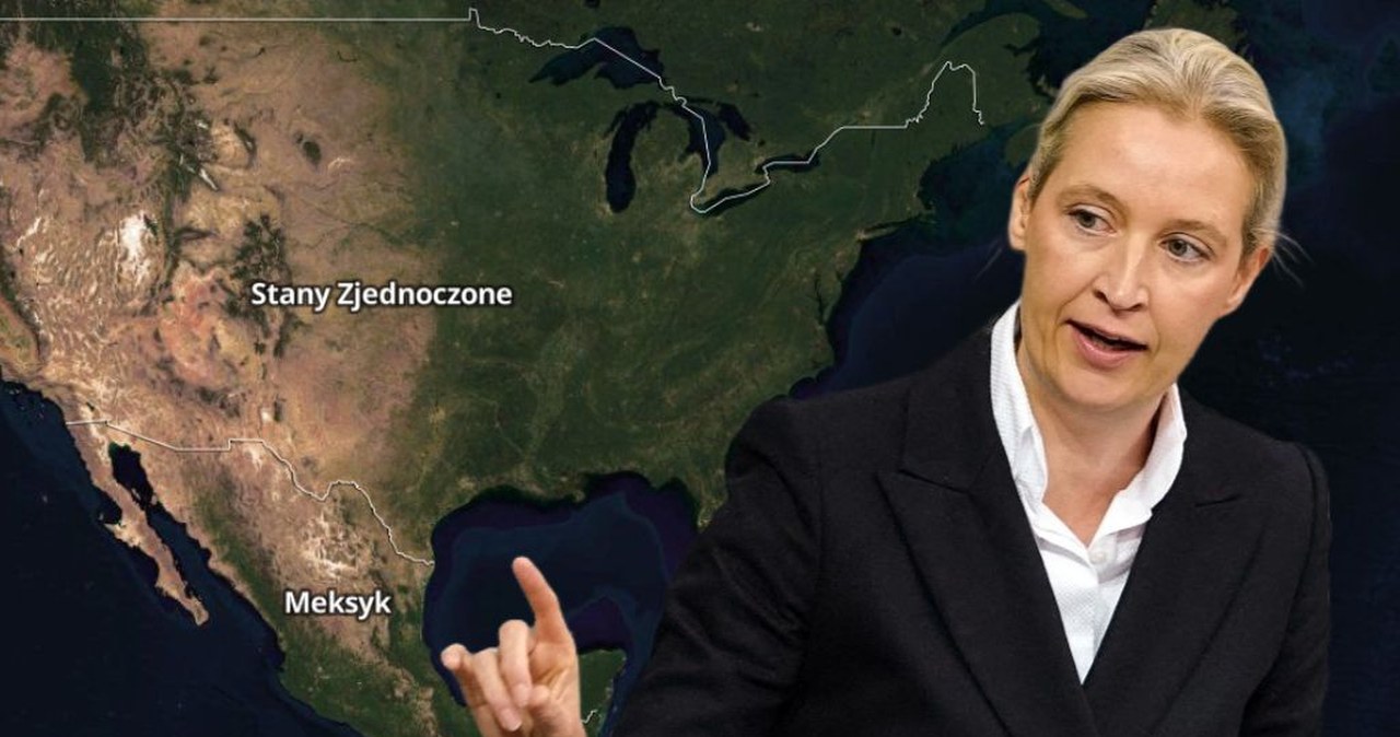 Tajny plan niemieckiej AfD względem Trumpa. Media opisują kulisy