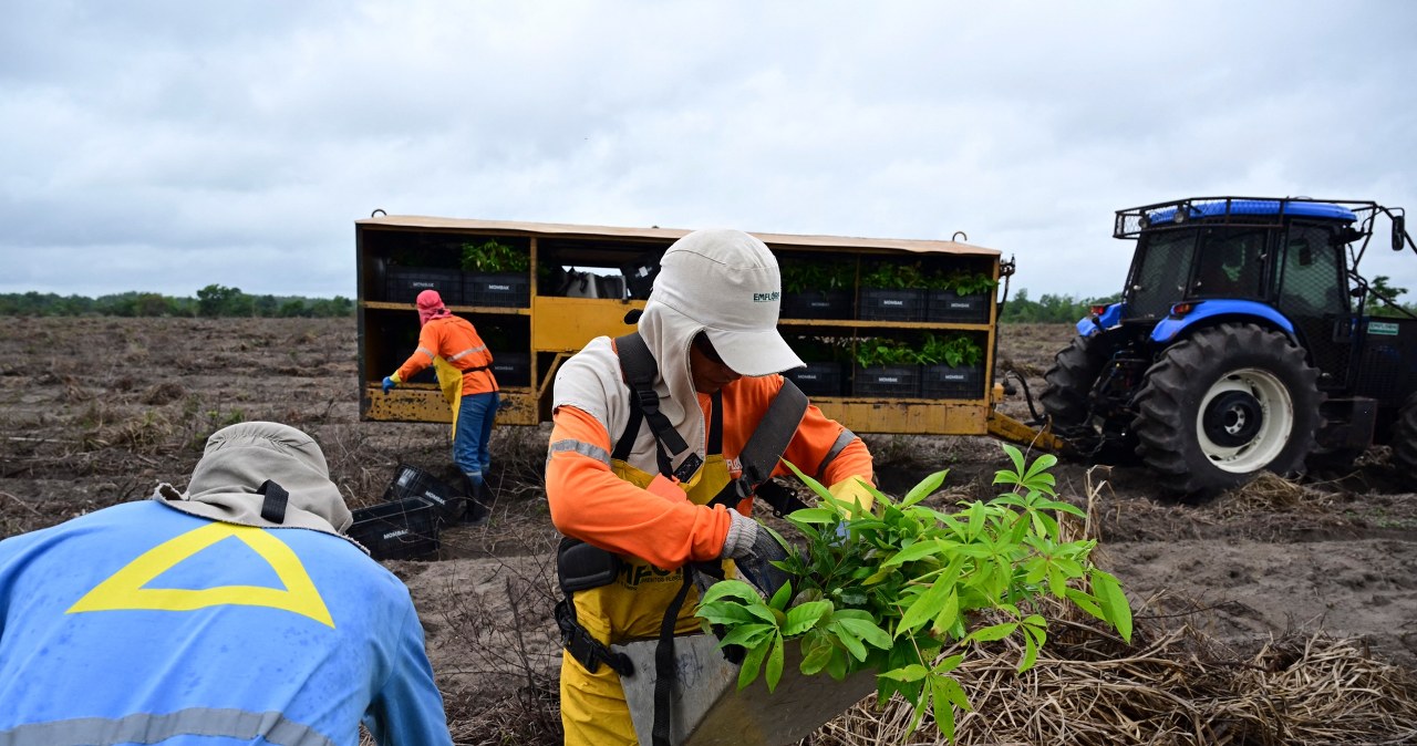 Trwa walka o ostateczny kształt umowy z Mercosur. "Nie składamy broni"