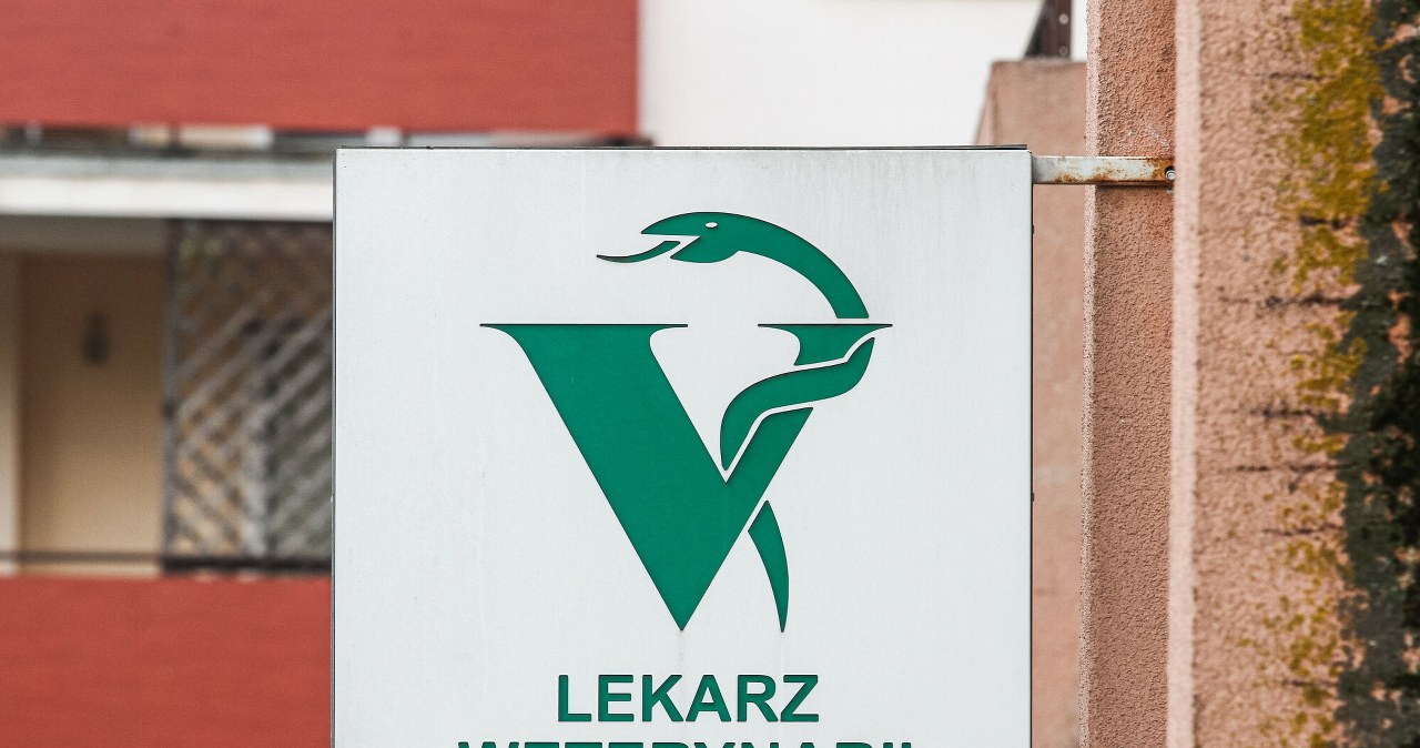 Złe wiadomości dla właścicieli zwierząt. Będą musieli zapłacić więcej