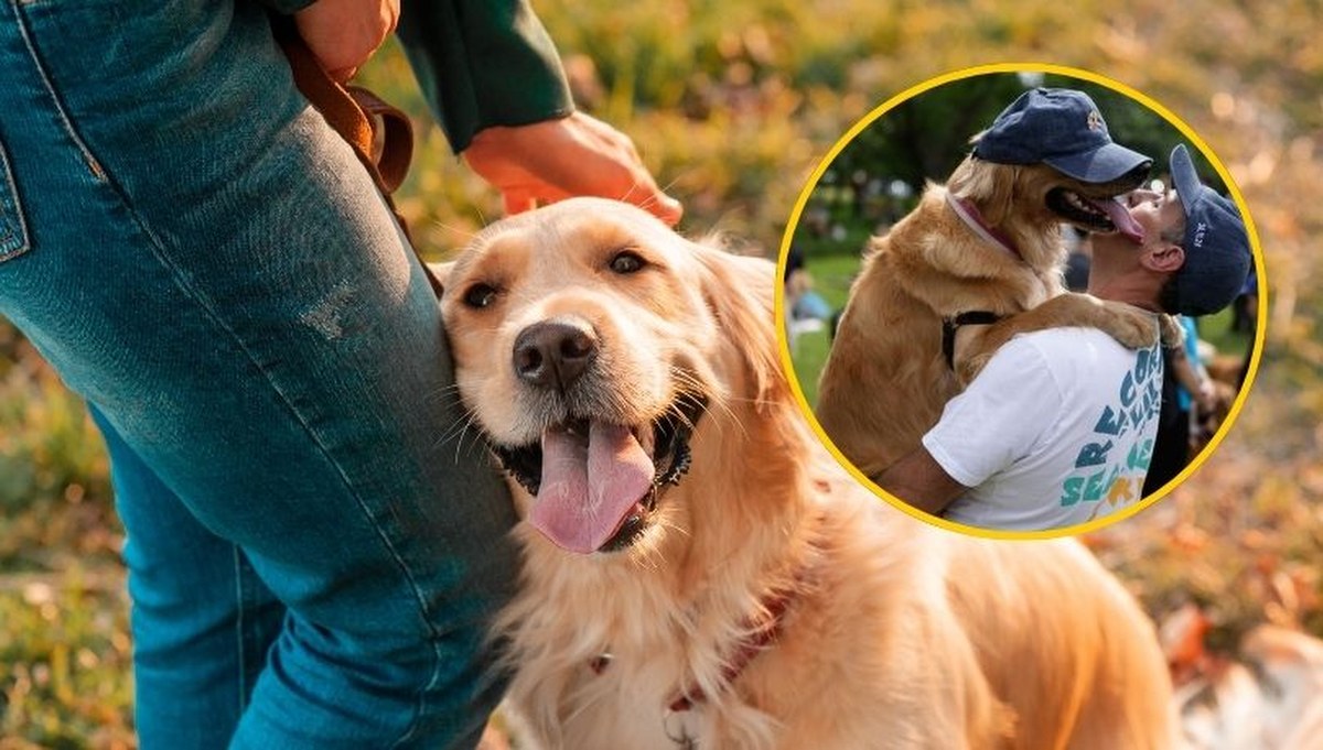 Rekord świata pobity. Tysiące golden retrieverów zebrały się w jednym parku