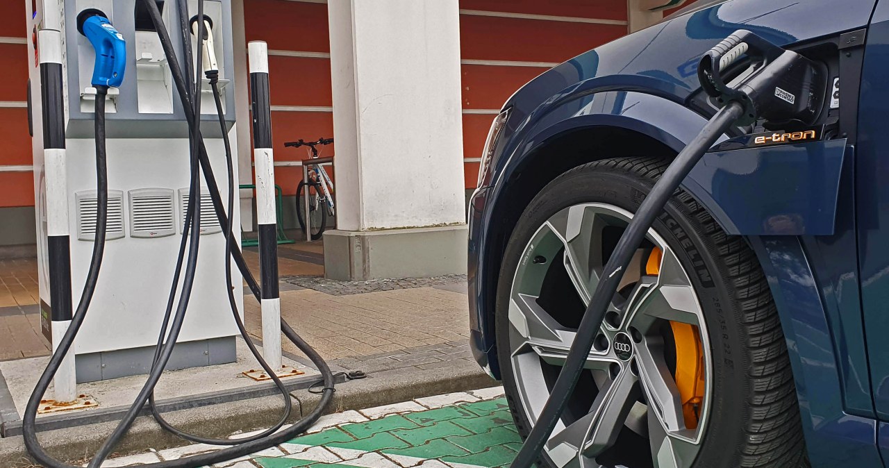 Załamanie na rynku aut elektrycznych. Rząd wyjął wtyczkę