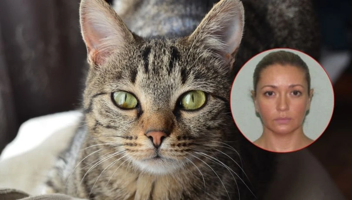 Niezwykła jest historia zdemaskowania rosyjskiej agentki, która przez lata prowadziła podwójne życie w Europie. Kluczową rolę w ustaleniu jej prawdziwej tożsamości odegrał... domowy kot.