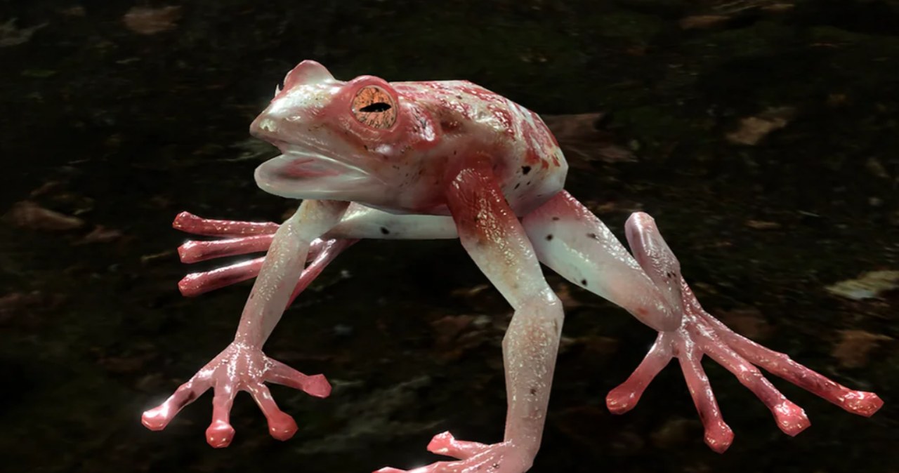 Ta żaba w Baldur's Gate 3 to pułapka. Gracze tracą wszystko